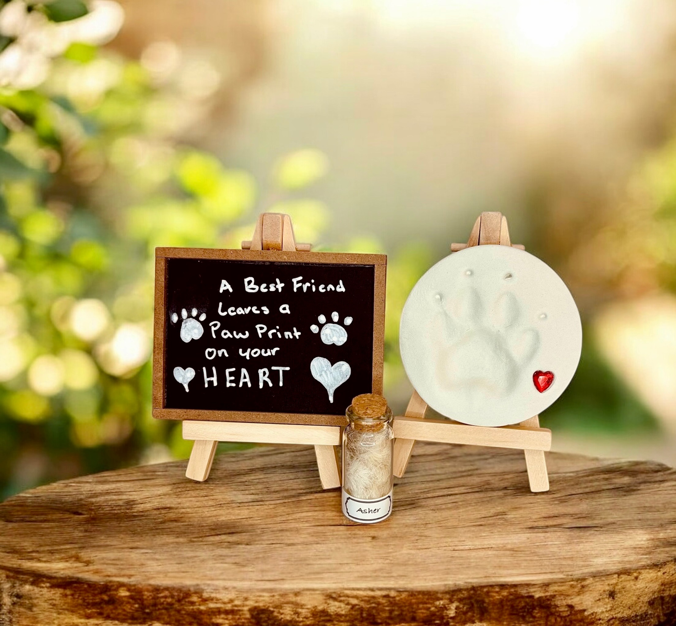 pet cremation long beach